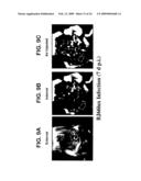 Non-invasive localization of a light-emitting conjugate in a mammal diagram and image