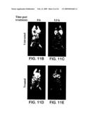 Non-invasive localization of a light-emitting conjugate in a mammal diagram and image