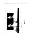 Non-invasive localization of a light-emitting conjugate in a mammal diagram and image