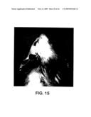 Non-invasive localization of a light-emitting conjugate in a mammal diagram and image