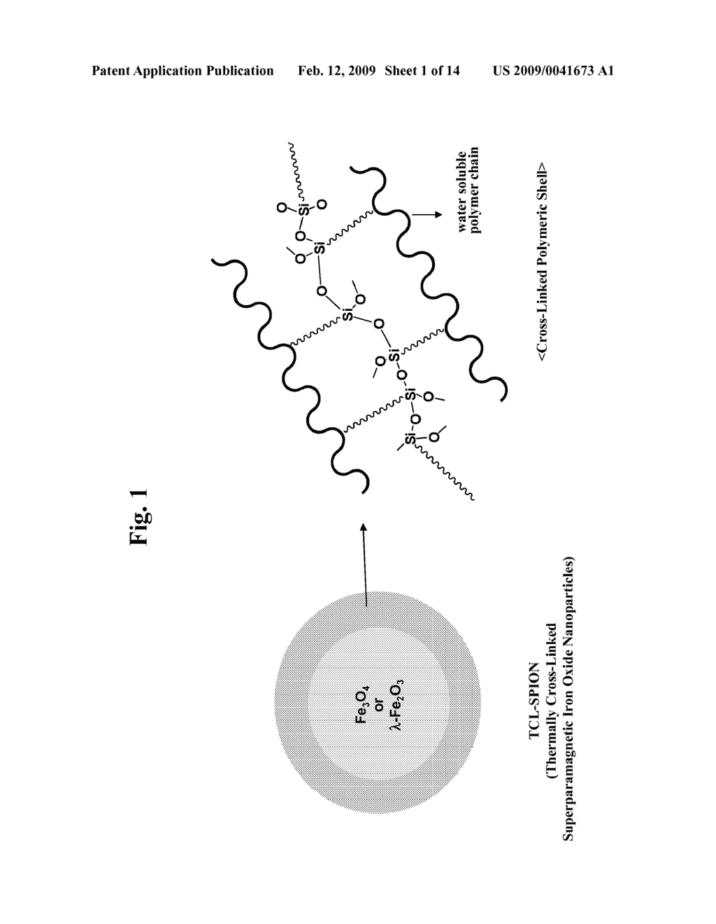 Thermally Crosslinked Contrast Agents - diagram, schematic, and image 02