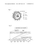 Replication-Deficient RNA Viruses as Vaccines diagram and image