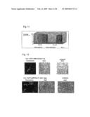 Replication-Deficient RNA Viruses as Vaccines diagram and image