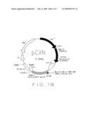 MODIFIED ENZYME AND TREATMENT METHOD diagram and image