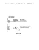 Combination therapy with IgA1 proteases diagram and image