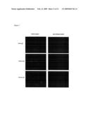 Combination therapy with IgA1 proteases diagram and image