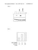 METHOD FOR IDENTIFYING TARGET PROTEIN OF DRUG AND METHOD FOR SCREENING THERAPEUTIC AGENT FOR DIABETES USING THE TARGET PROTEIN diagram and image