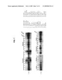 121P1F1: A TISSUE SPECIFIC PROTEIN HIGHLY EXPRESSED IN VARIOUS CANCERS diagram and image