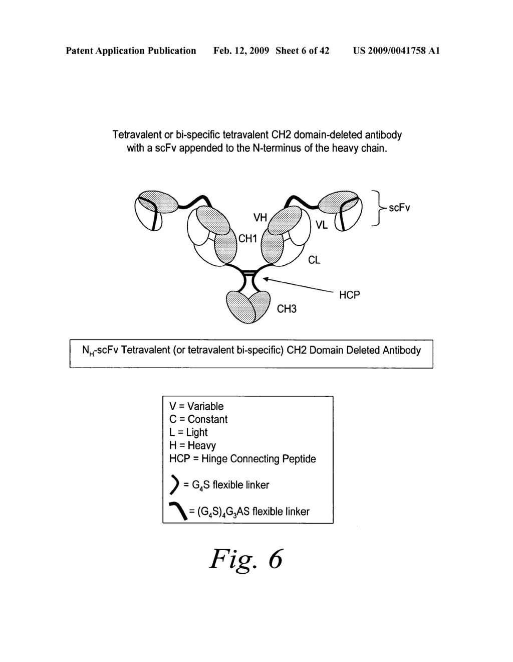 MODIFIED BINDING MOLECULES COMPRISING CONNECTING PEPTIDES - diagram, schematic, and image 07