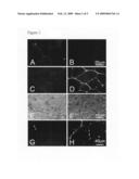 Methods for the treatment of muscular dystrophy associated with dysferlin-deficiency diagram and image