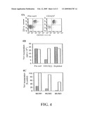 Chemokine receptor antagonists as therapeutic agents diagram and image