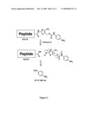 Heterocyclic self-immolative Linkers and Conjugates diagram and image