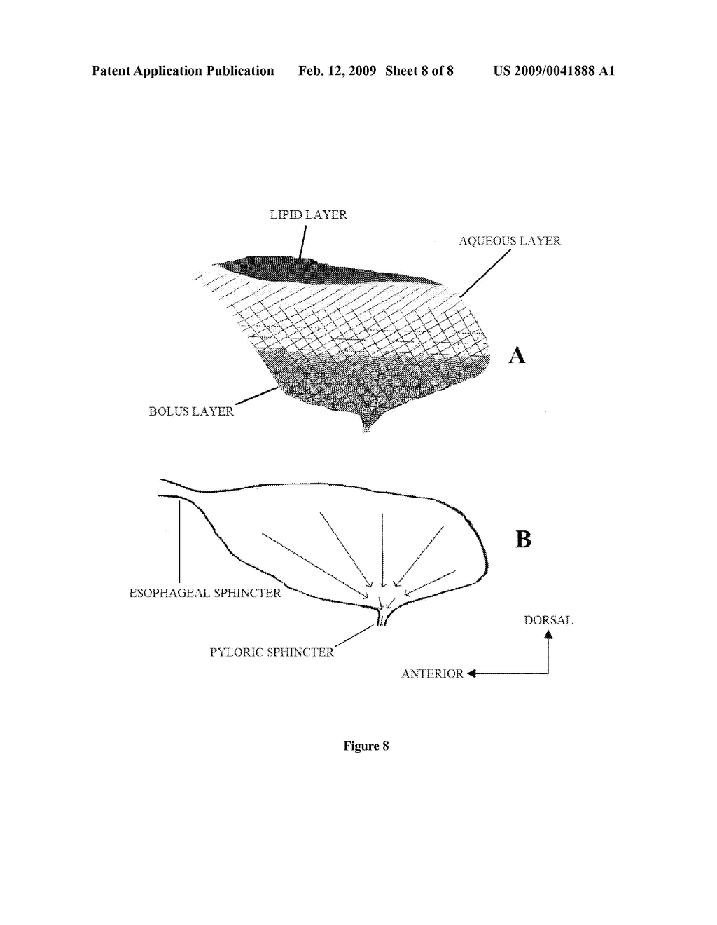 USE OF FORMULATED DIETS PROVIDING IMPROVED DIGESTION IN FISH - diagram, schematic, and image 09