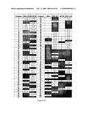 Method Of Diagnosing Cancer And Reagents Therefor diagram and image