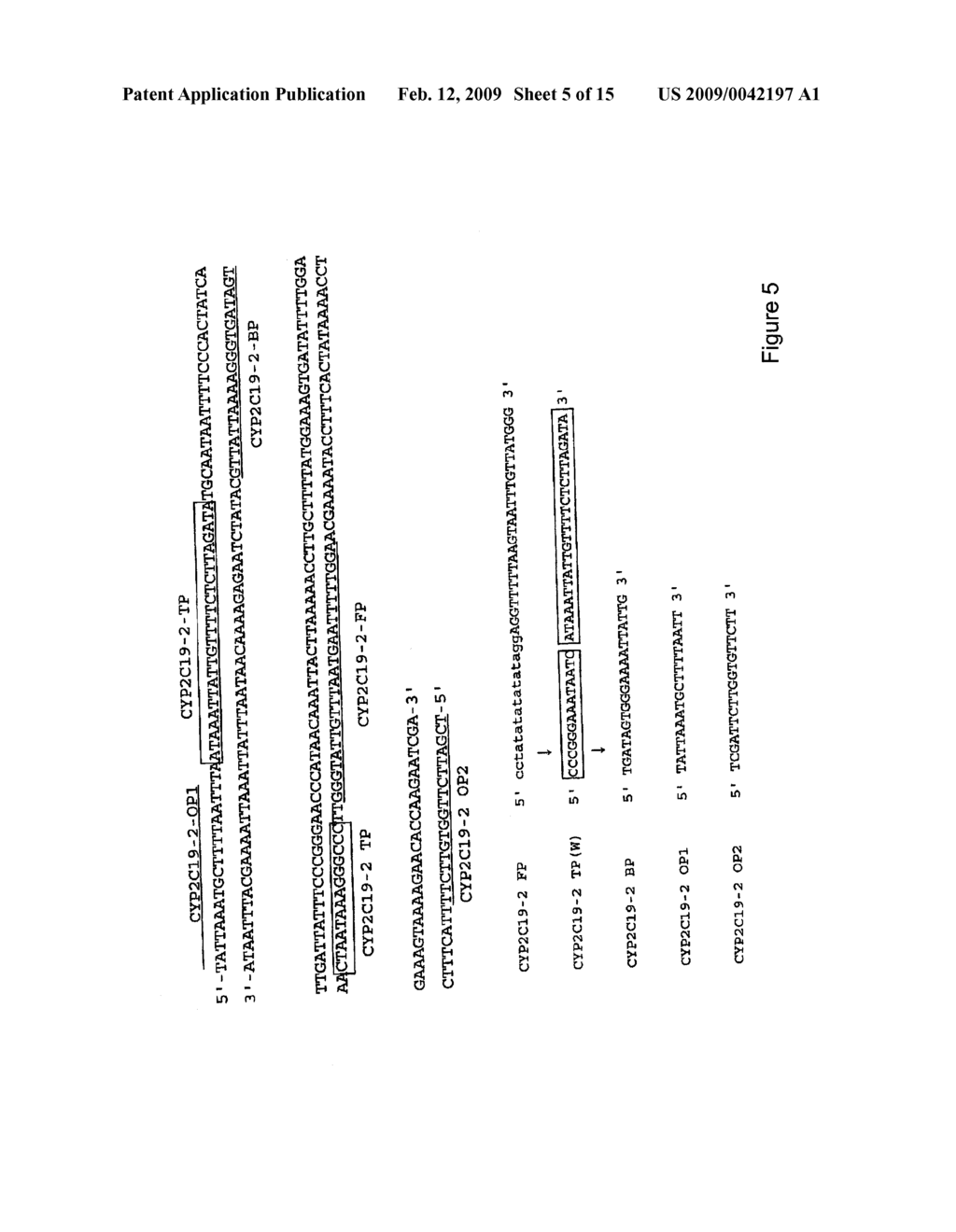 METHOD FOR DETECTING AND AMPLIFYING NUCLEIC ACID - diagram, schematic, and image 06