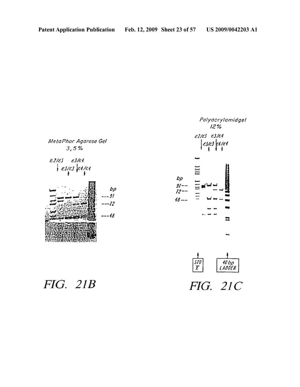 Mass Spectrometric Methods for Detecting Mutations in a Target Nucleic Acid - diagram, schematic, and image 24