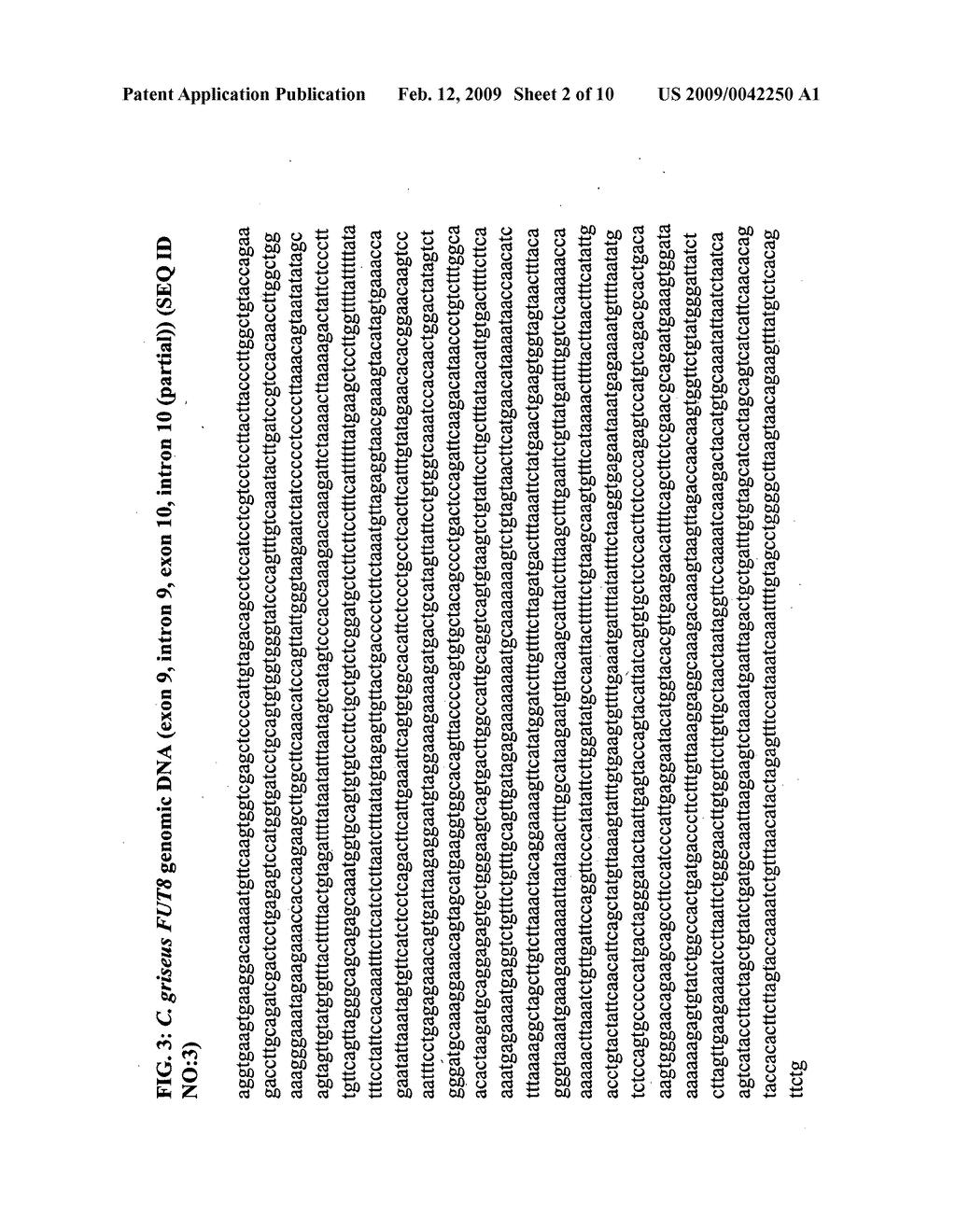 Methods and compositions for inactivating alpha 1,6 fucosyltransferase (FUT8) gene expression - diagram, schematic, and image 03