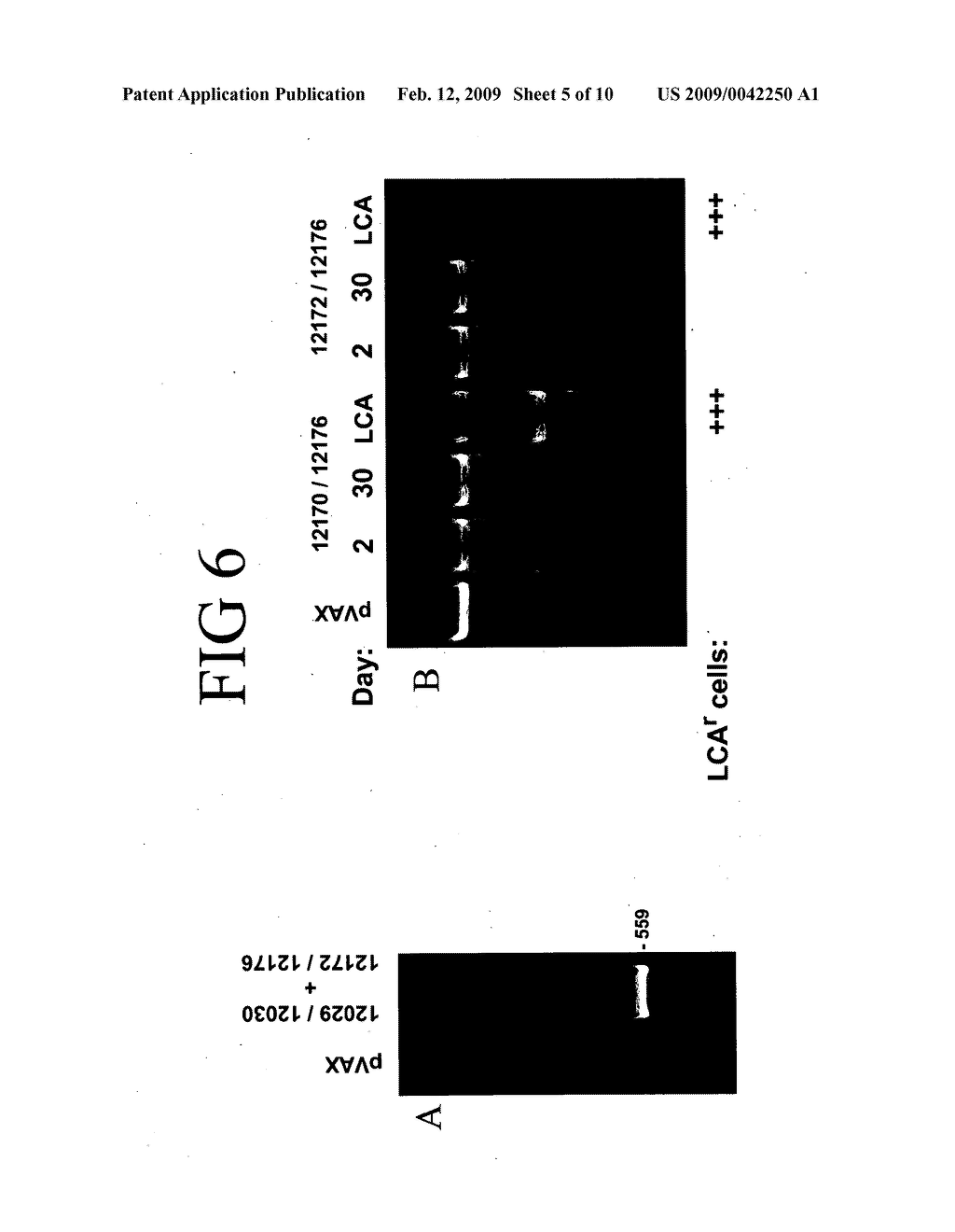 Methods and compositions for inactivating alpha 1,6 fucosyltransferase (FUT8) gene expression - diagram, schematic, and image 06