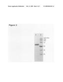 Isolation of quiescin-sulfhydryl oxidase from milk diagram and image