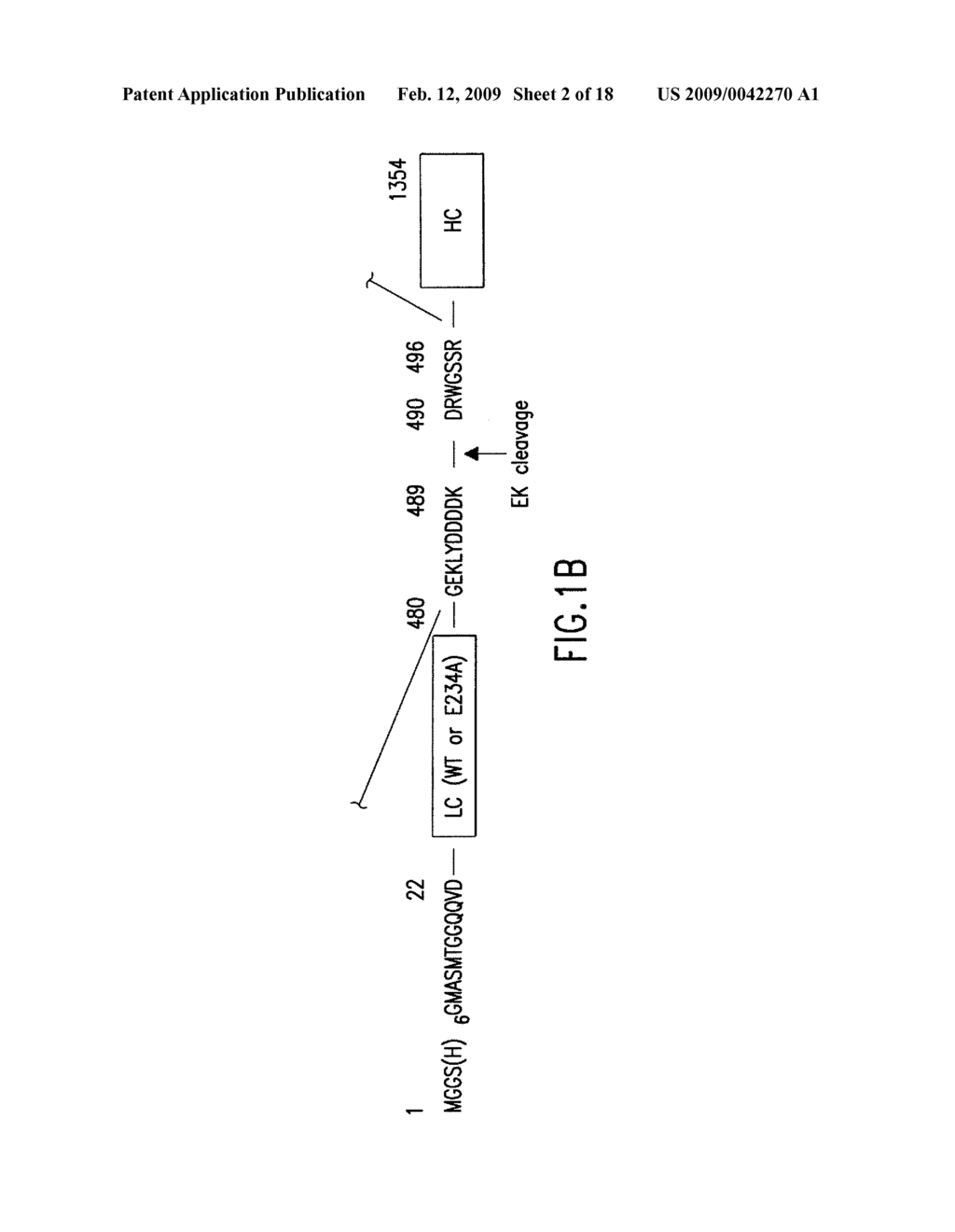 ACTIVATABLE RECOMBINANT NEUROTOXINS - diagram, schematic, and image 03