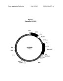 Method of protein production in yeast diagram and image