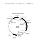 OPTIMIZED MESSENGER RNA diagram and image