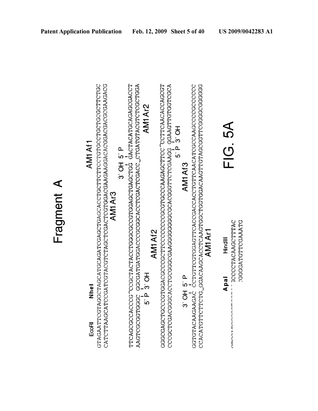 OPTIMIZED MESSENGER RNA - diagram, schematic, and image 06