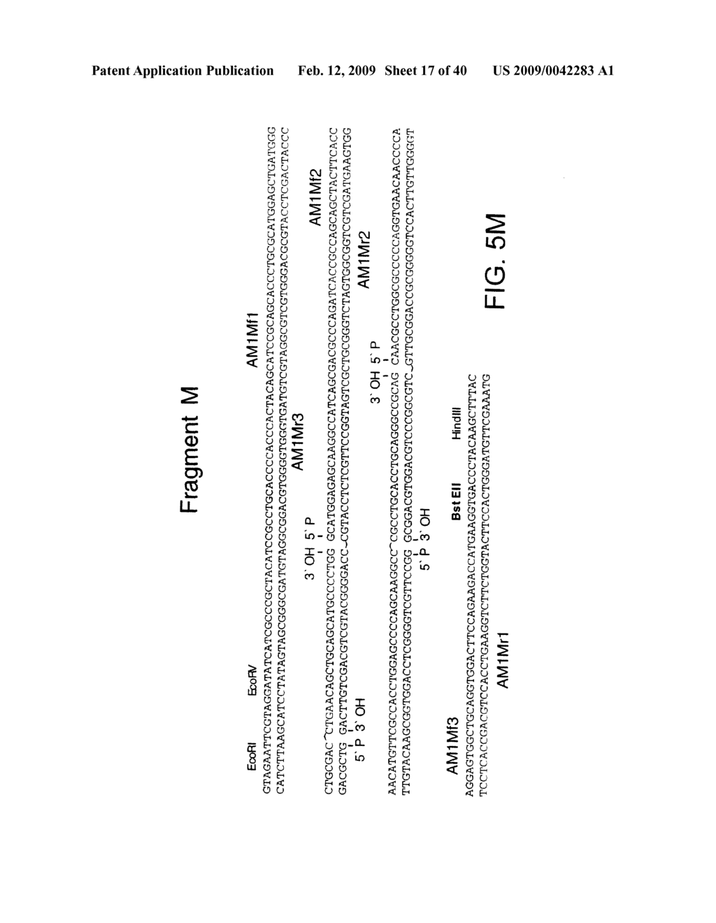 OPTIMIZED MESSENGER RNA - diagram, schematic, and image 18