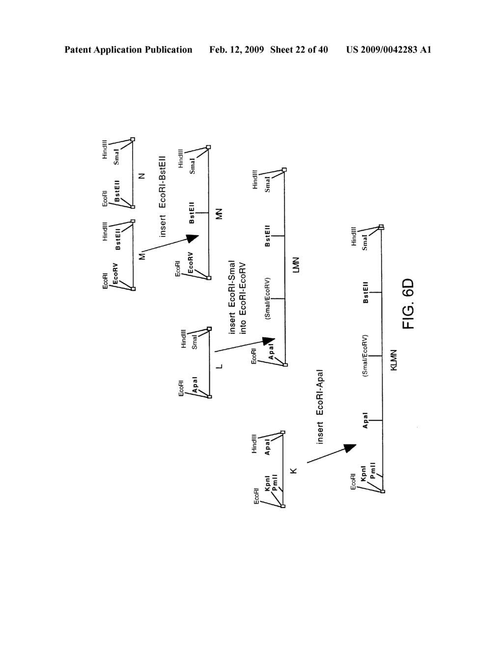 OPTIMIZED MESSENGER RNA - diagram, schematic, and image 23