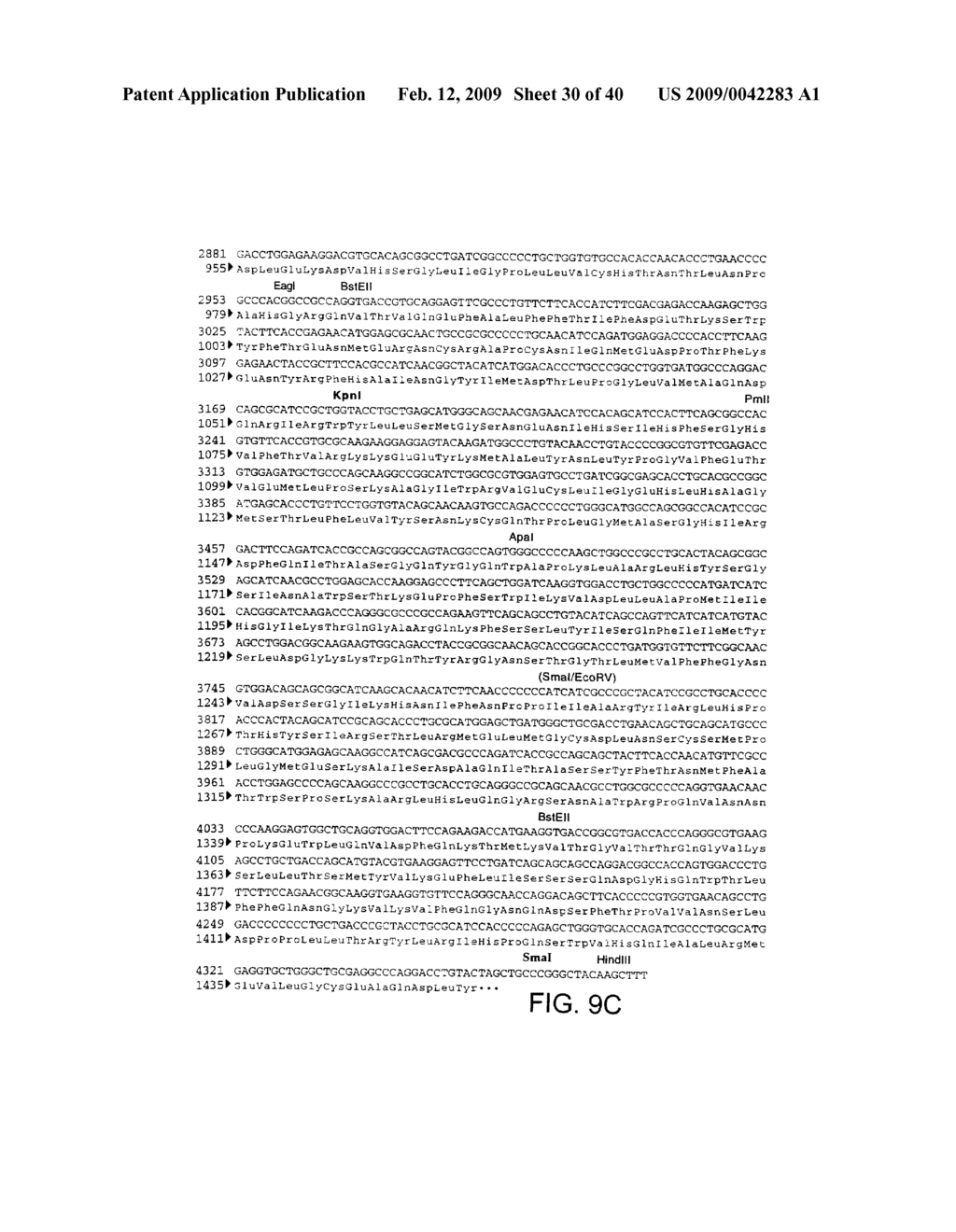 OPTIMIZED MESSENGER RNA - diagram, schematic, and image 31