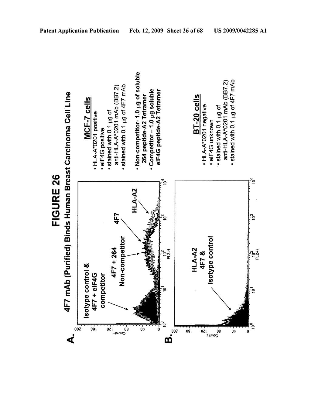 Antibodies at T cell receptor mimics, methods of production and uses thereof - diagram, schematic, and image 27