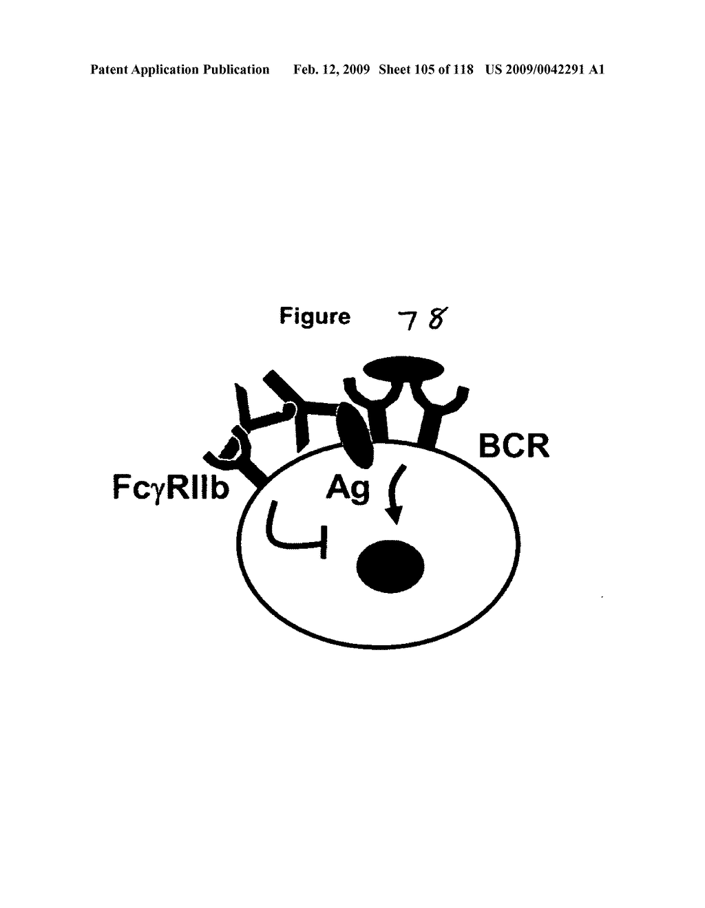 Optimized Fc variants - diagram, schematic, and image 106