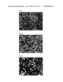 Cell culture substrate and its production method diagram and image