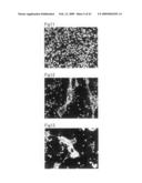 Cell culture substrate and its production method diagram and image