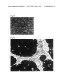 Cell culture substrate and its production method diagram and image