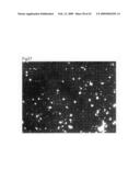 Cell culture substrate and its production method diagram and image