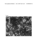 Cell culture substrate and its production method diagram and image