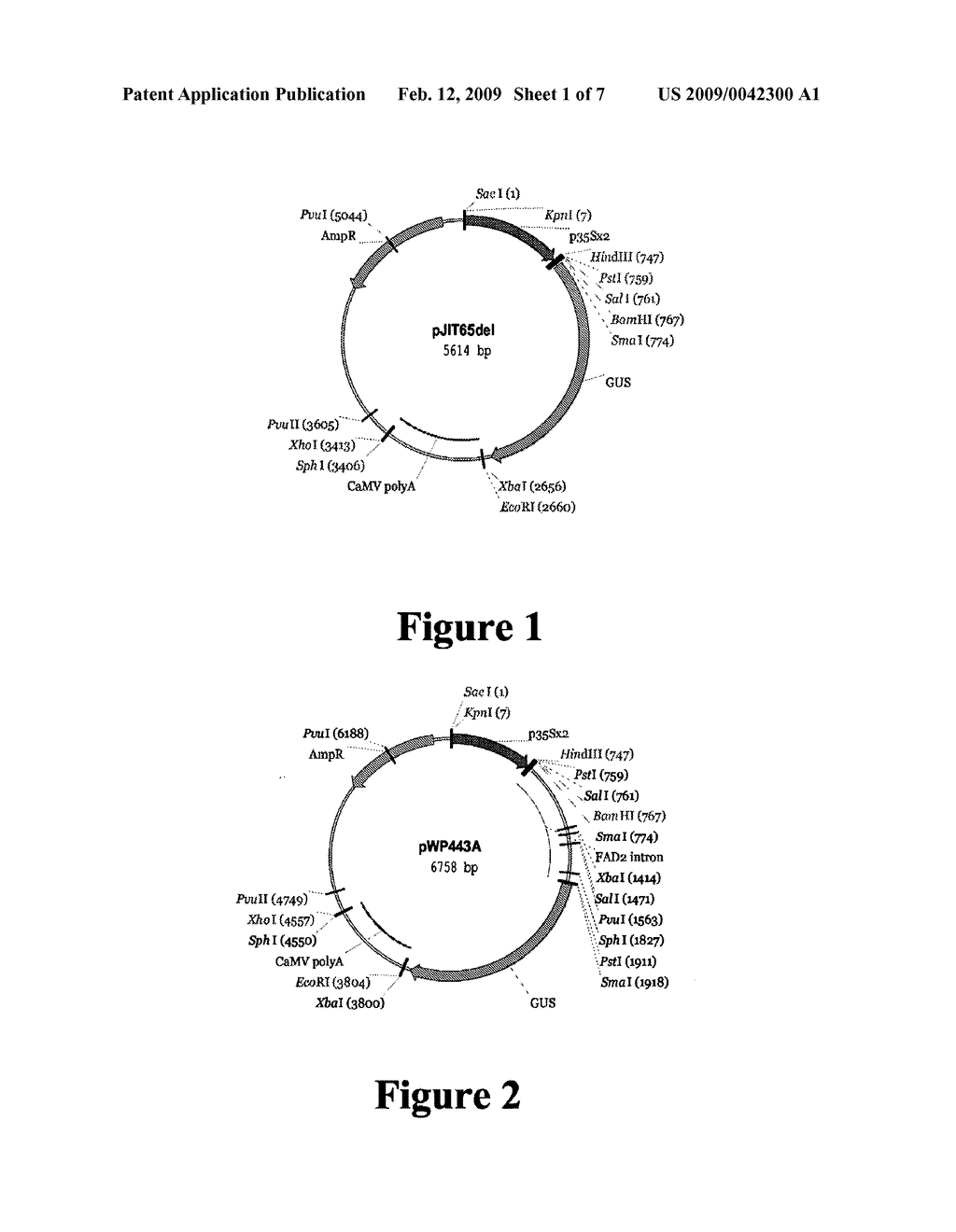 METHOD FOR ENHANCING GENE EXPRESSION IN PLANTS - diagram, schematic, and image 02