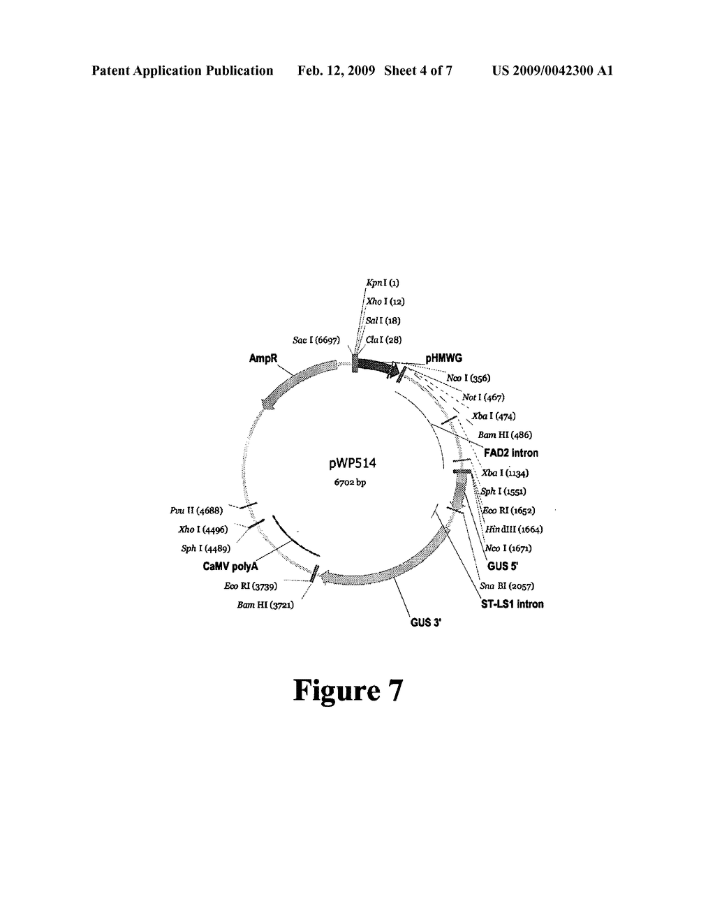 METHOD FOR ENHANCING GENE EXPRESSION IN PLANTS - diagram, schematic, and image 05