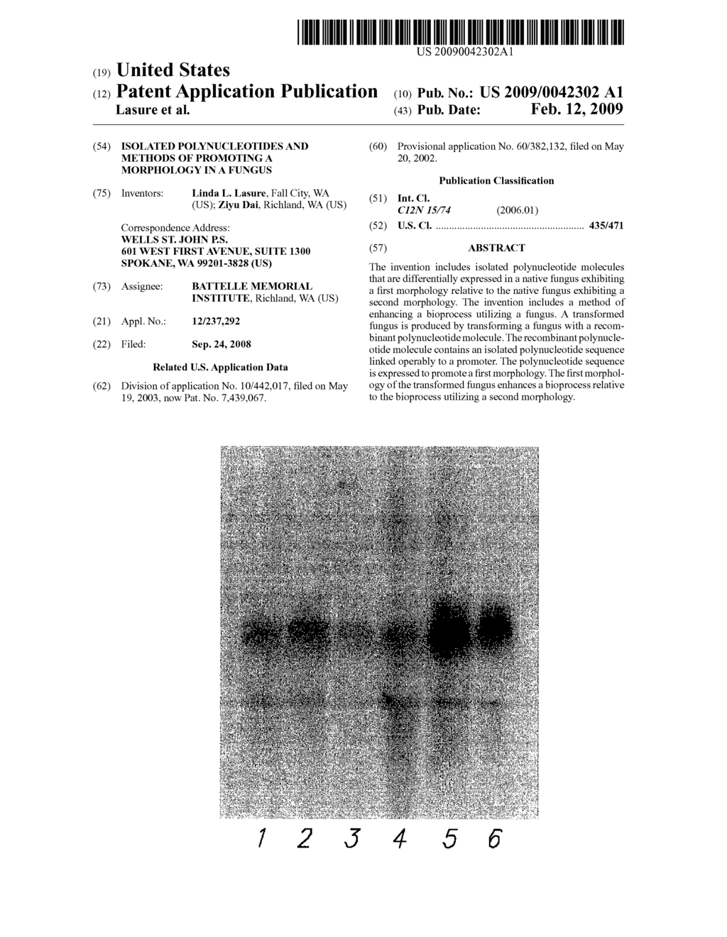 Isolated Polynucleotides and Methods of Promoting a Morphology in a Fungus - diagram, schematic, and image 01