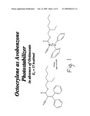 Test method for determining compounds capable of quenching electronic singlet state excitation of photoactive compounds diagram and image