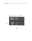 Test method for determining compounds capable of quenching electronic singlet state excitation of photoactive compounds diagram and image