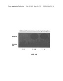 Test method for determining compounds capable of quenching electronic singlet state excitation of photoactive compounds diagram and image