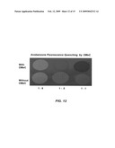 Test method for determining compounds capable of quenching electronic singlet state excitation of photoactive compounds diagram and image