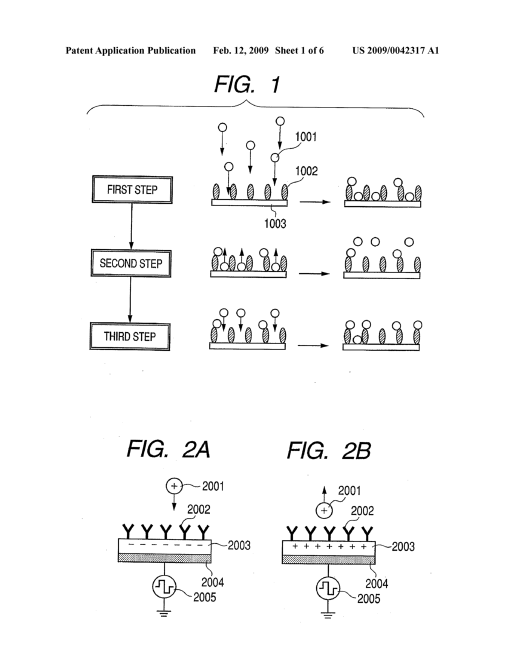 SUBSTANCE IMMOBILIZING APPARATUS, SUBSTANCE DETECTING APPARATUS AND SUBSTANCE IMMOBILIZING METHOD - diagram, schematic, and image 02