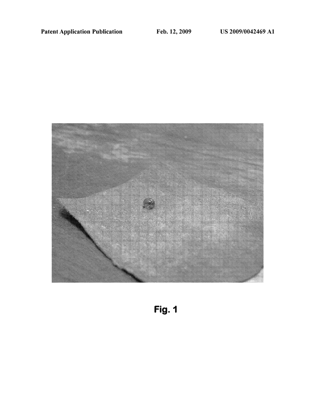 Superhydrophilic and Superhydrophobic Powder Coated Fabric - diagram, schematic, and image 02