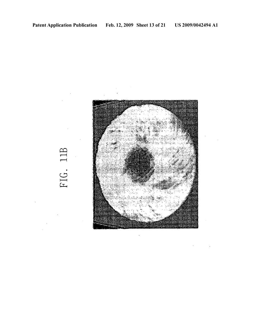 PAD CONDITIONER OF SEMICONDUCTOR WAFER POLISHING APPARATUS AND MANUFACTURING METHOD THEREOF - diagram, schematic, and image 14