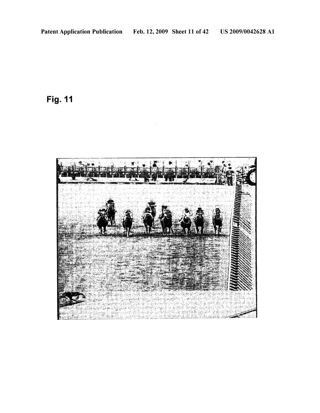 HORSE POSITION INFORMATION ANALYZING AND DISPLAYING METHOD - diagram, schematic, and image 12