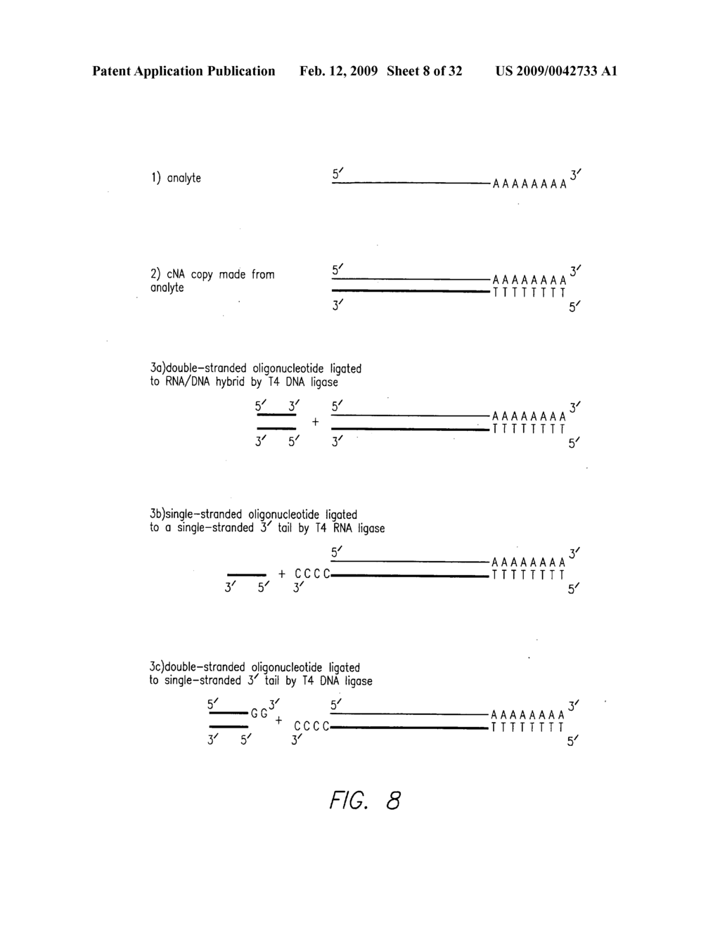 Process for detecting or quantifying nucleic acids in a library - diagram, schematic, and image 09