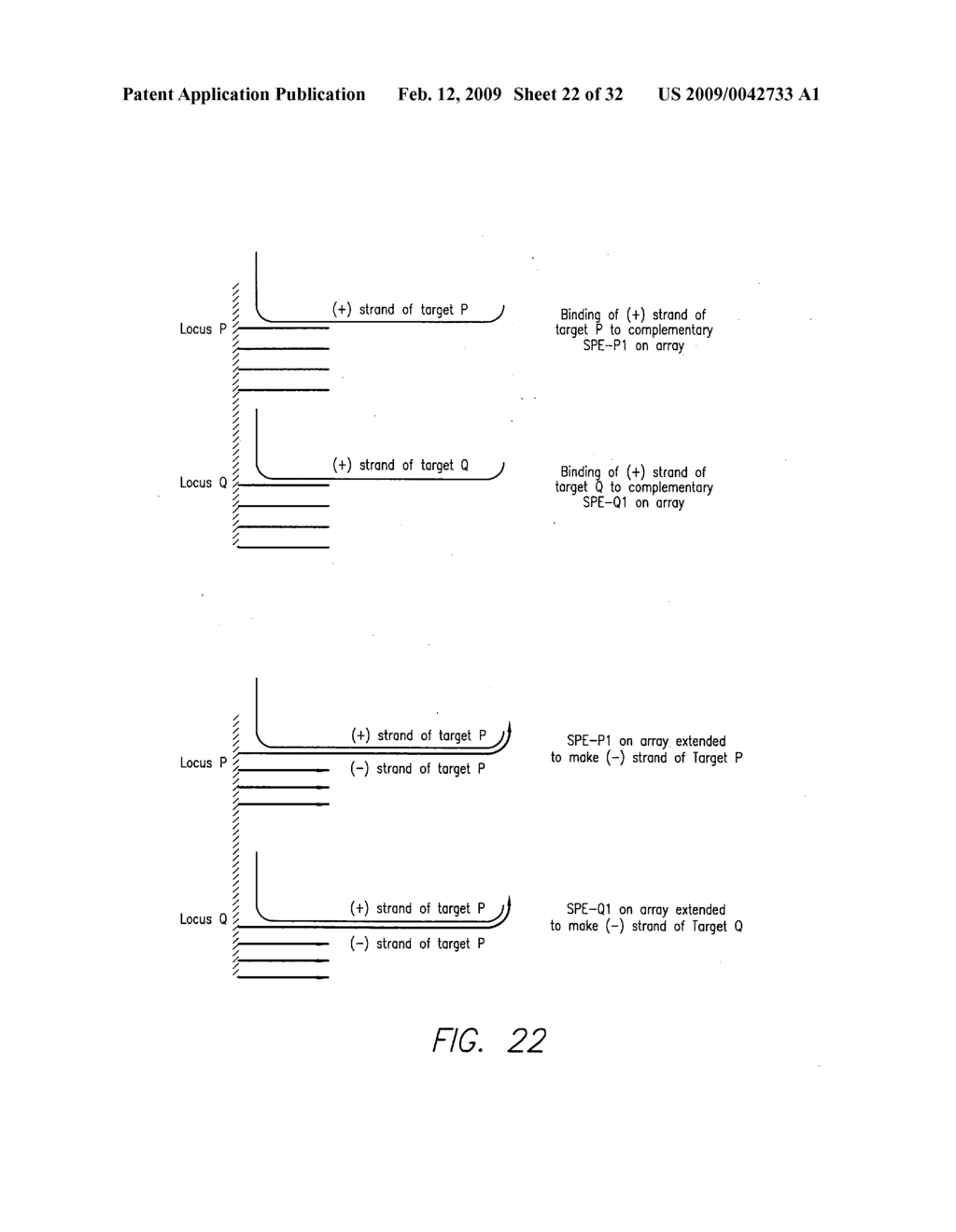 Process for detecting or quantifying nucleic acids in a library - diagram, schematic, and image 23